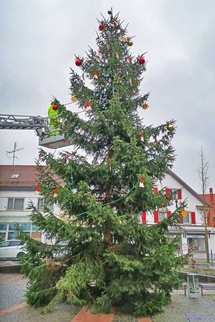 Weihnachtsbaum auf dem Marktplatz in Bad Schussenried