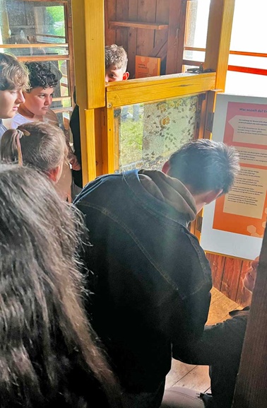 Der Imker erklärt der Klasse 6 die Wabenkonstruktion